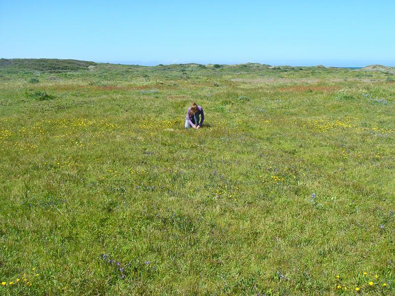 Big Sur 2010 047.jpg